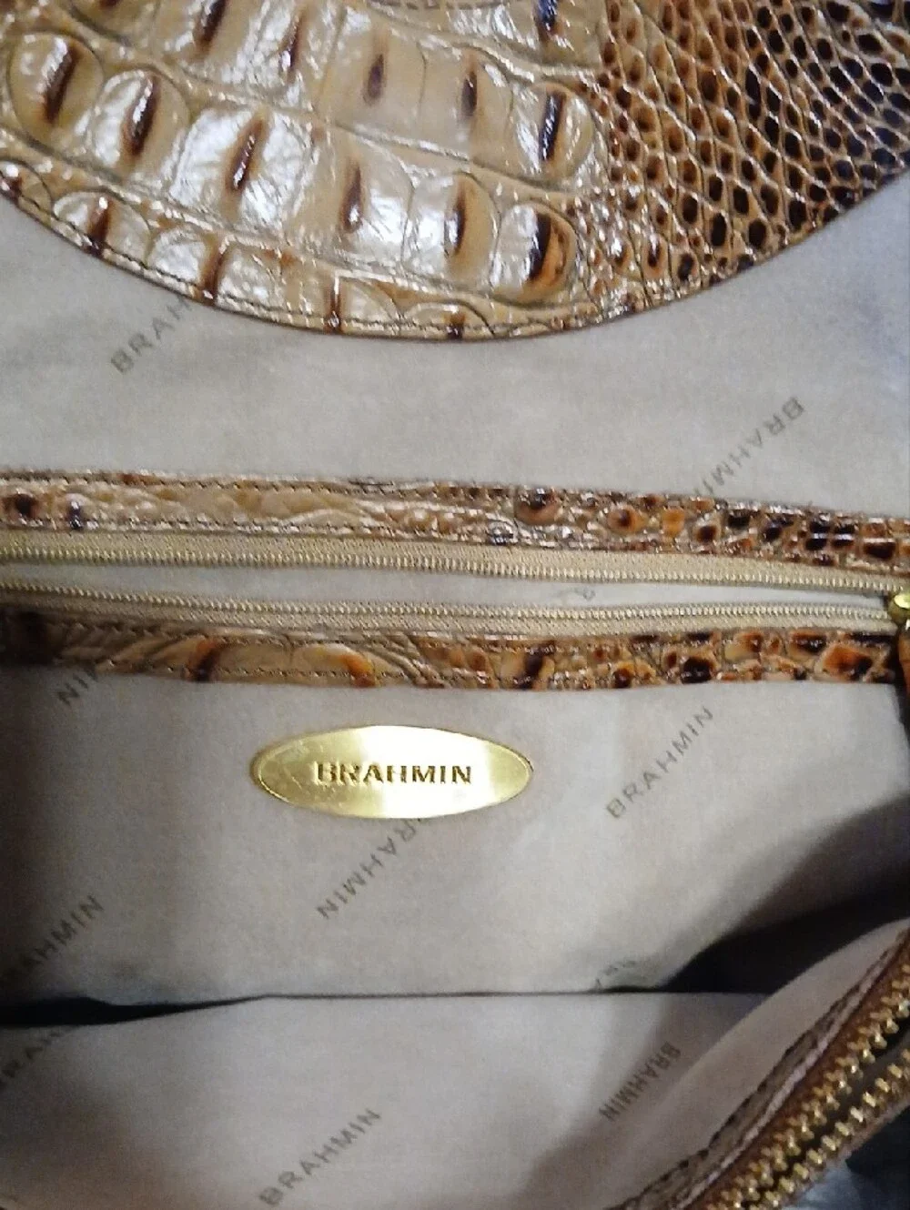 Brahmin Croc-Embossed Hobo in Tan and Brown Ombre